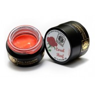 4D Plastecine Gel - Collection #2 - Coral Reef 4D Plastecine Gel - Collection #2 - Coral Reef