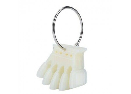 Natural Crown Nail Display with ring 50pcs Natural Crown Nail Display with ring 50pcs