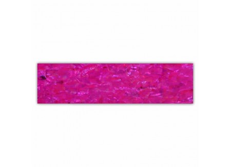Shell Plate 660001 Shell Plate 660001