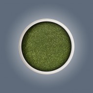 Glitter - Agave Cactus Glitter - Agave Cactus