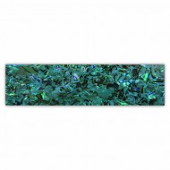 Shell Plate 660011 Shell Plate 660011