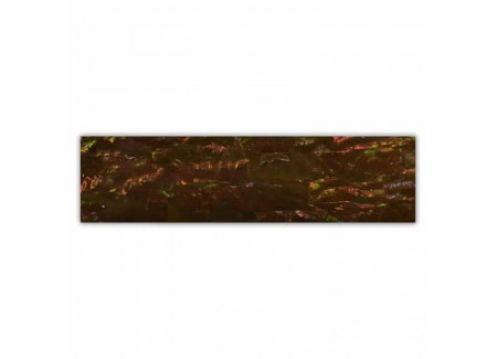 Shell Plate 660006 Shell Plate 660006